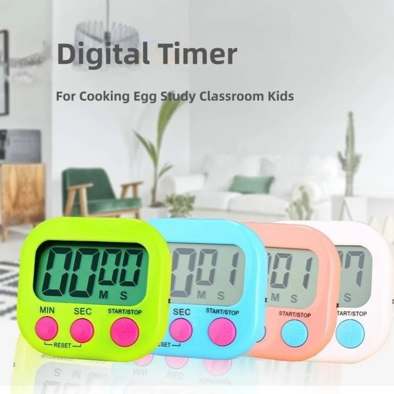 Egg Study Classroom