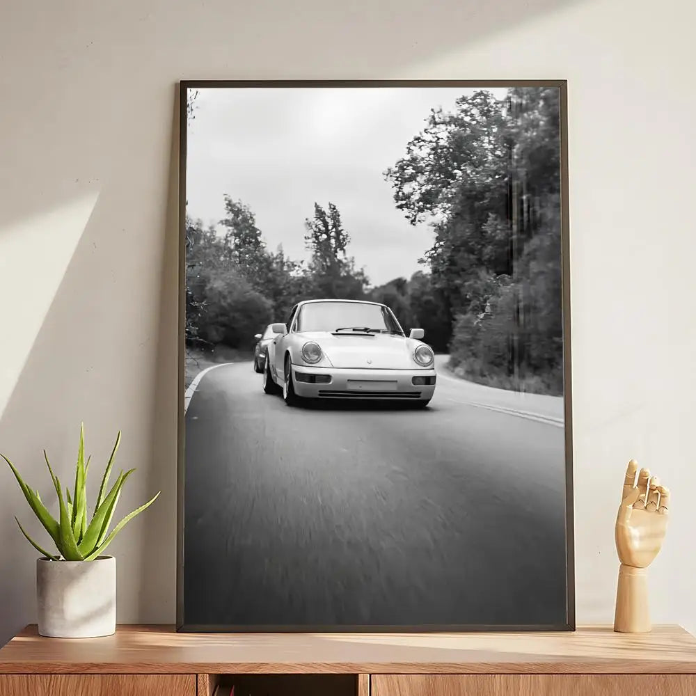 Black and White Luxury Poster