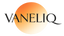 VaneliQ - Home